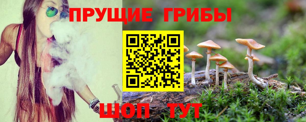 Псилоцибиновые грибы мицелий Людиново